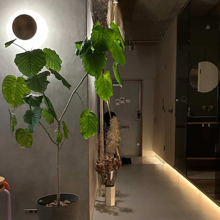 グレーとホワイトのトーンのワンルームの玄関、観葉植物と暖かな壁照明が配置されたミニマルモダンなインテリア