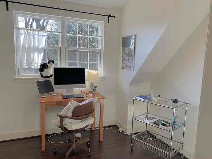 White and brown toned study with a cat on the windowsill and computer set up, creating a clean home office space