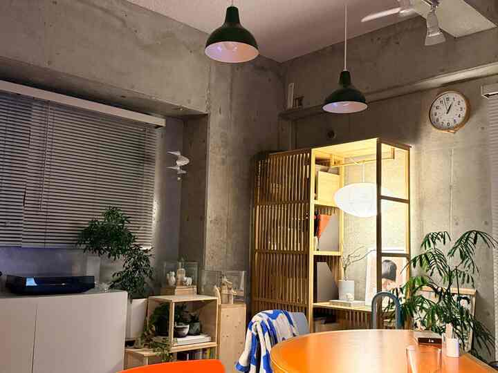 Natural wood tone studio apartment living room with plants and limited natural lighting, creating a warm and cozy atmosphere