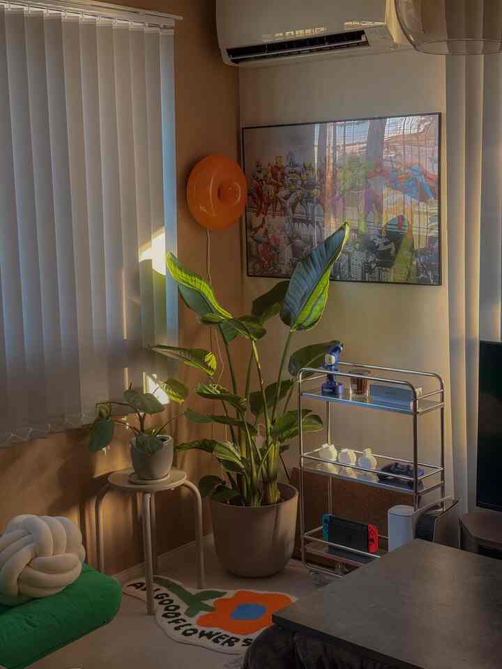 最近お気に入りの場所💚

#ストラリチア
#モンステラ
#ステンレスラック
#こたつ
#アートポスター