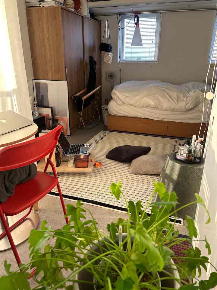 Natural wood tones and ivory rug in a studio living room combined with bedroom space featuring a red chair and green plant