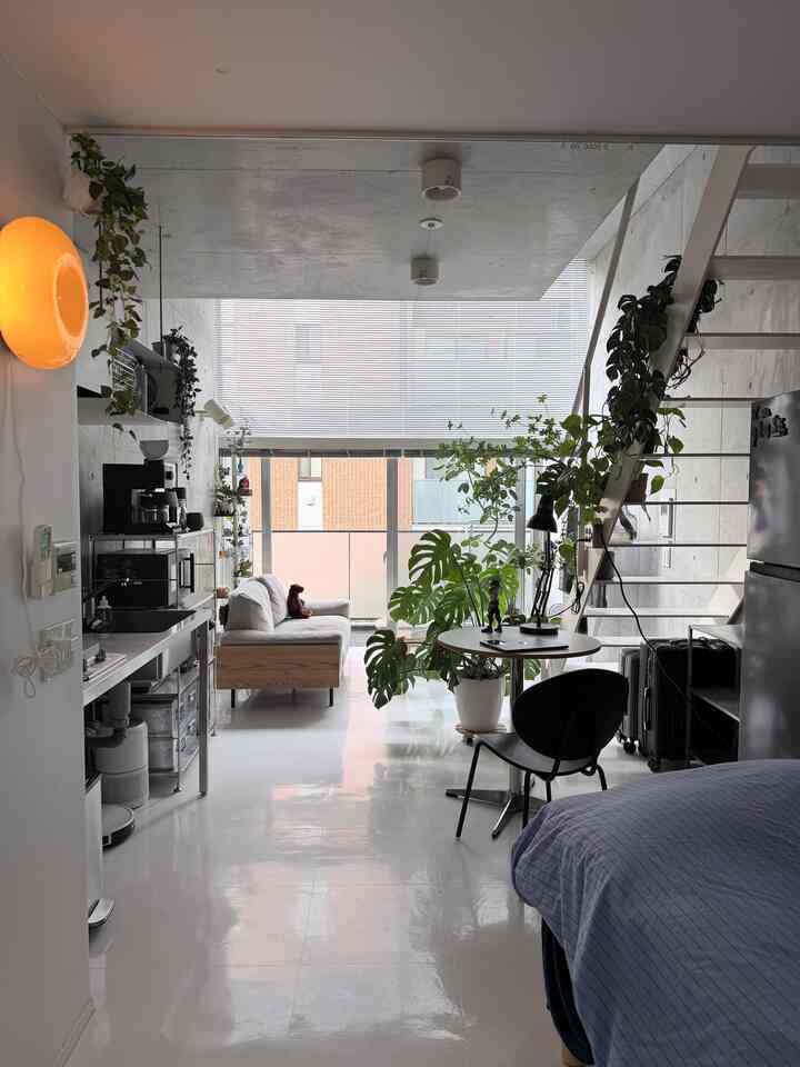 模様替え欲が出てきました
イメージはあるので実行しちゃうかも
#ミニマルモダン