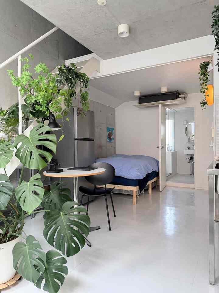 階段のグリーンがだんだん増えてきました🌱
#ミニマルモダン