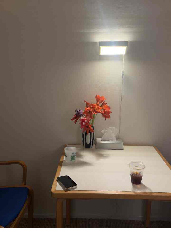 白い壁とネイビーの椅子があるシンプルな一人暮らしのダイニングルーム