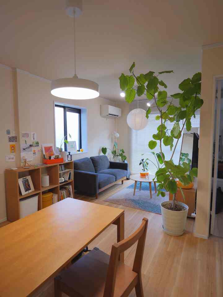 木目調の家具と観葉植物が配置された温かみのある1LDKのリビング・ダイニング空間