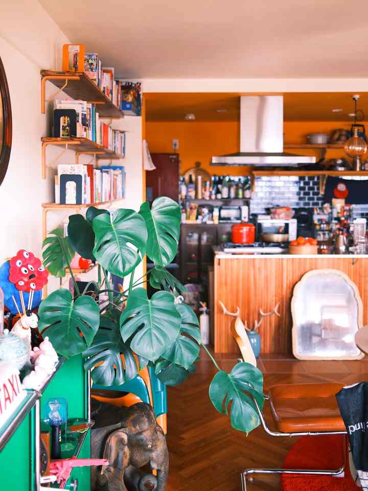 A peek at the house from the balcony

#balcony
#houseplants
#kitchen
#dining
#dining
#kitchen
