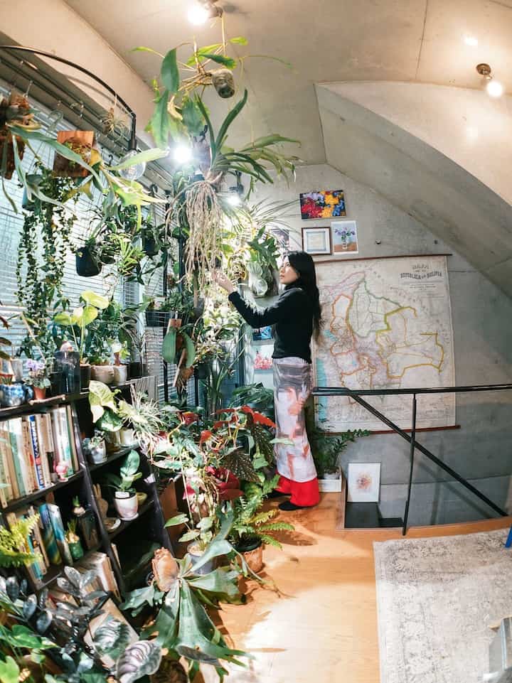 自然な色調とライトブラウンの床が特徴の6畳間、植物と本棚が配置された雰囲気のあるナチュラルスタイルの空間