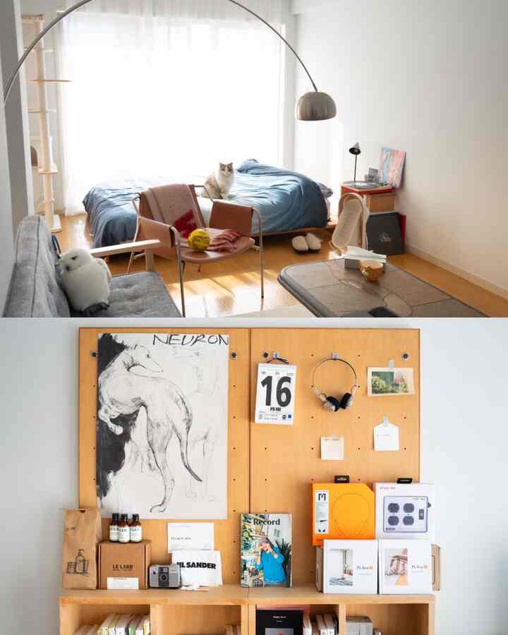 Natural-toned studio bedroom featuring a cat and cat tower with a cozy atmosphere