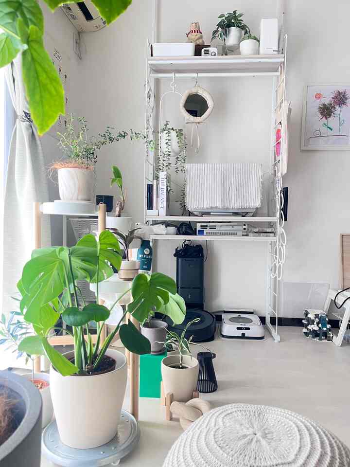 はじめて投稿
大好きなスペースをもっと魅力的にしていきたい
#観葉植物
#ホワイトインテリア
#ナチュラルモダン