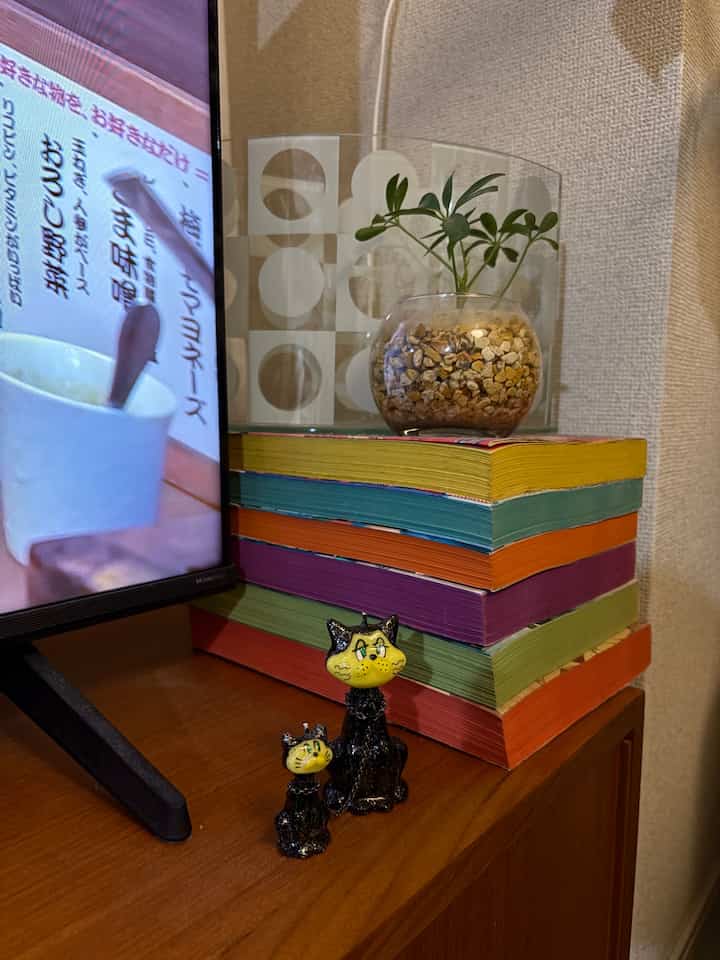 Brown-toned living room corner featuring a TV stand with colorful books, a plant, and cat figurines creating a cozy atmosphere