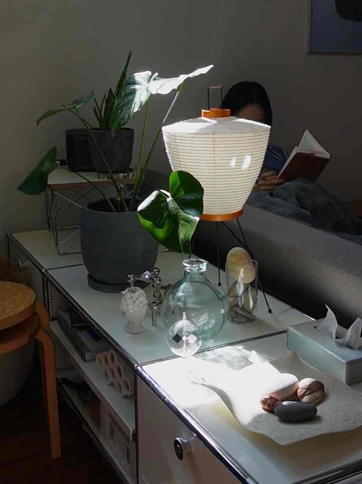 最近の朝の日課

朝読書。

日差しが暖かい季節がやってきました。

#ソファ　#スリーシーター　#usmhaller