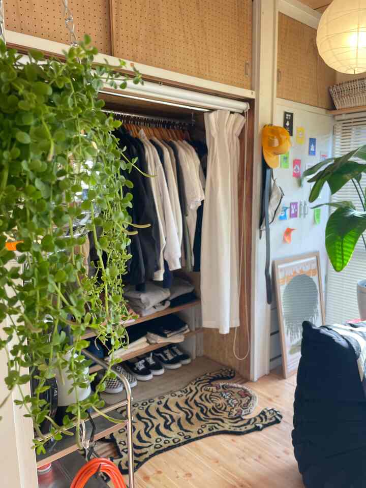 Natural wood floor and white walls create a cozy living room featuring an open closet with hanging clothes and lush green plants