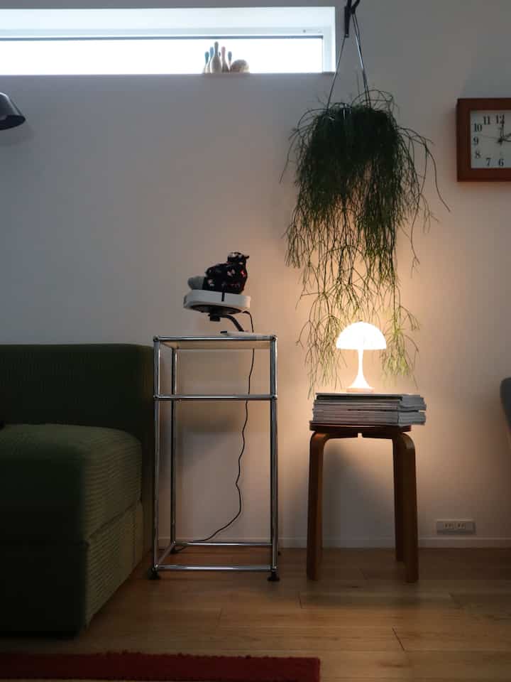 A white and natural toned living room featuring a green sofa and large hanging plant with cozy indirect lighting