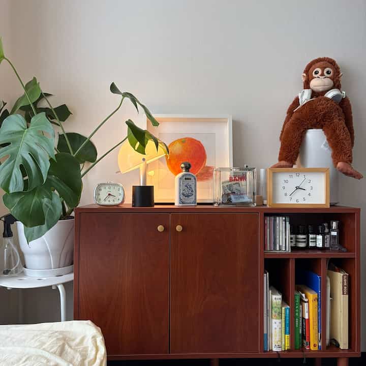 Natural-toned studio apartment living room featuring a brown wooden cabinet with plants and various decor items in a cozy setting