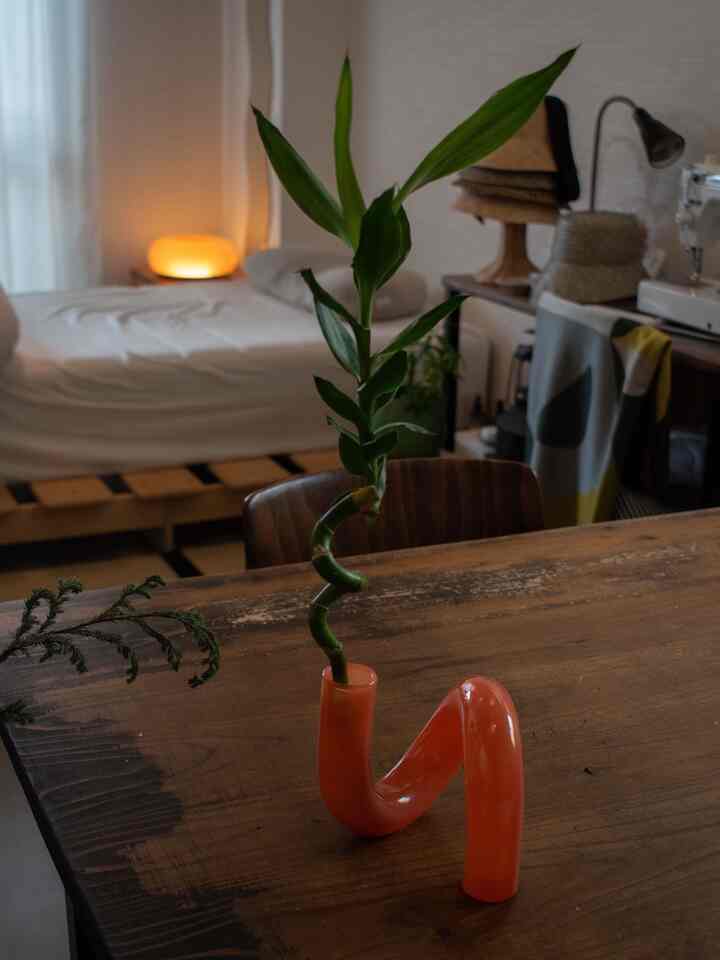 オレンジの花瓶に竹の植物が飾られたナチュラルで居心地の良い寝室とダイニングスペース