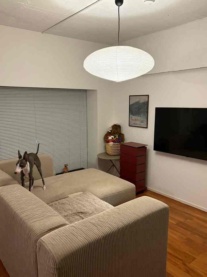 Beige-toned living room featuring a corduroy sofa and a dog in a modern setting
