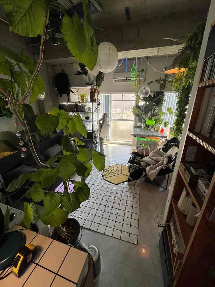 さぶあかです。三寒四温を自で行く気候。

#ワンルーム #賃貸インテリア #観葉植物 #リノベーション #cozy #diy 