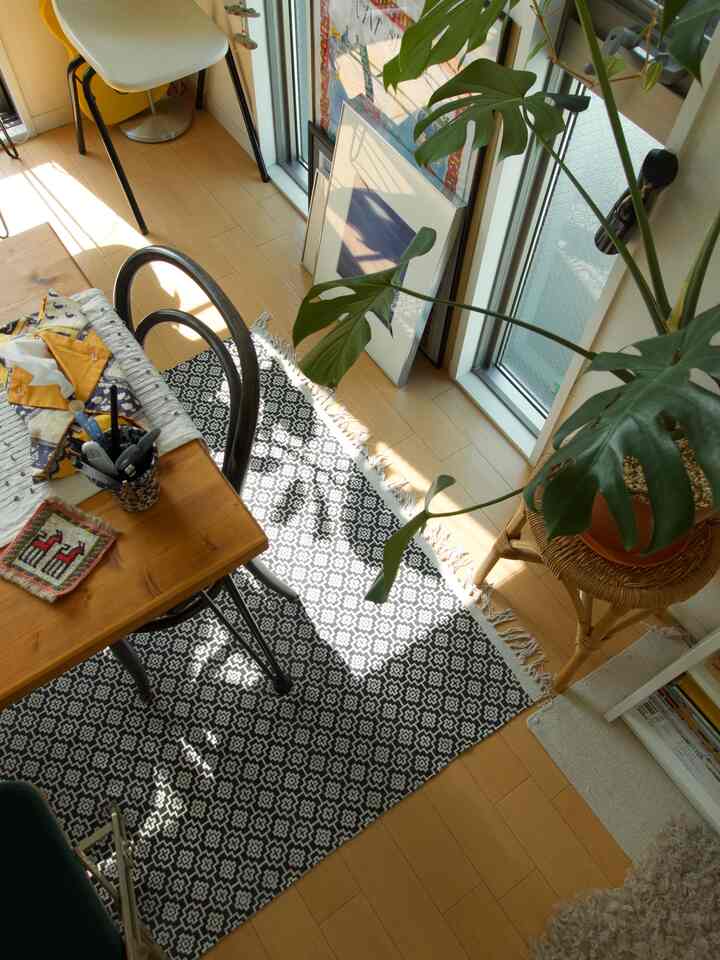 A cozy 1LDK living space with wood tone flooring and black patterned carpet, featuring mid-century modern furniture and a large leafy plant
