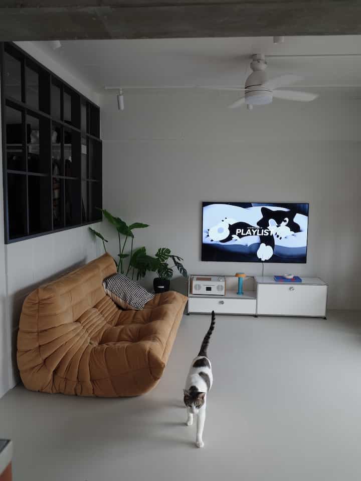 White and camel-toned living room featuring a sofa and TV with a minimalistic atmosphere and a cat walking at center foreground