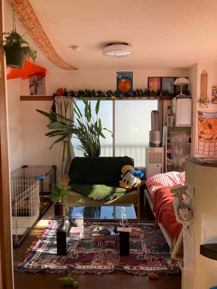 A cozy bedroom featuring pink and vintage tones with a sofa, patterned rug, and abundant plants creating a natural atmosphere