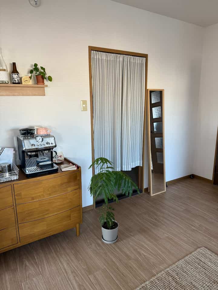 Natural wood tone dresser and green plant in white-walled, cozy cafe style studio apartment space