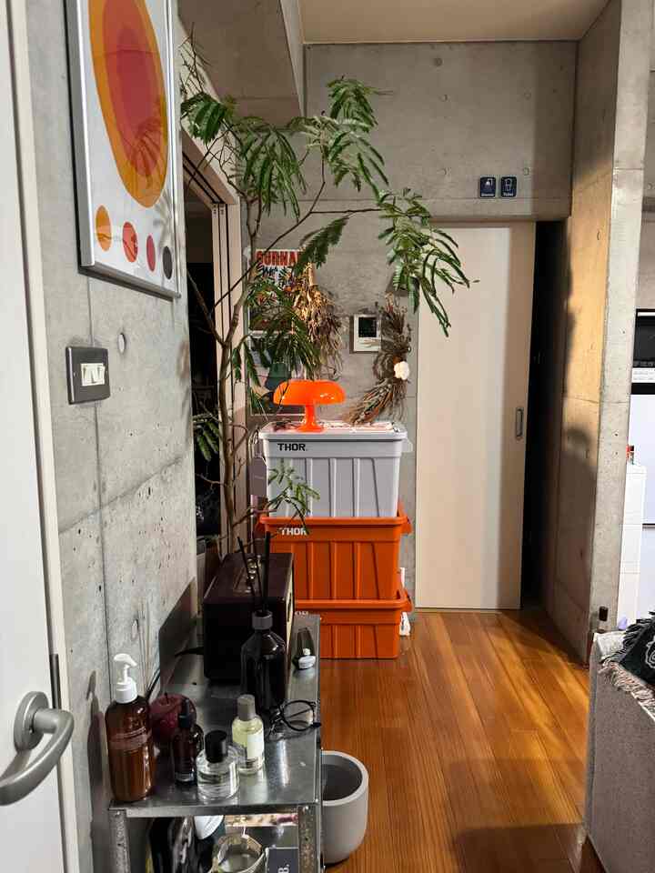 Mid-century modern entry space to bedroom with concrete walls and wood floor, featuring orange and white storage boxes and warm lighting