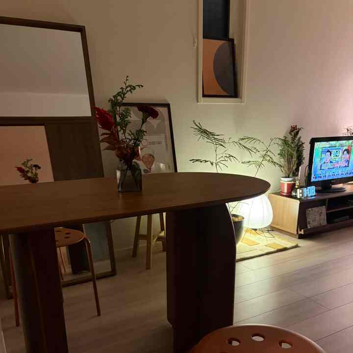 柔らかなナチュラルカラーの1LDKリビングダイニング、木製ダイニングテーブルと植物が配置された落ち着いた空間