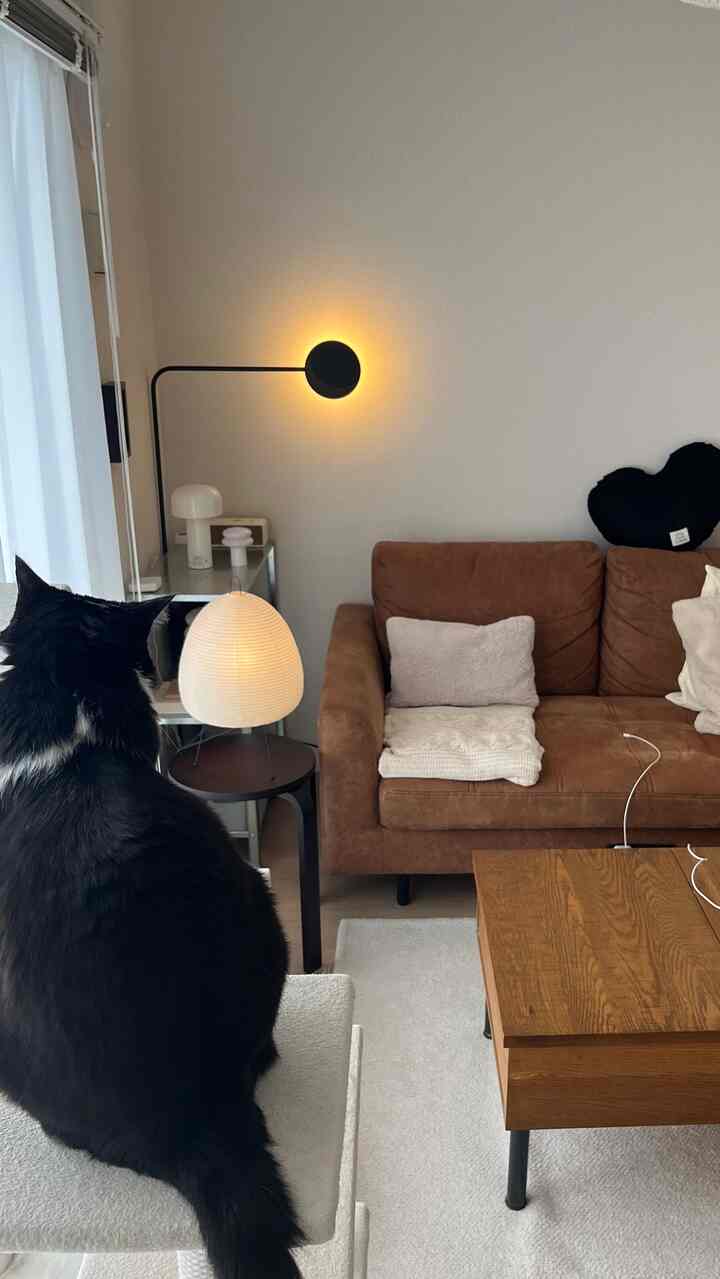 ブラウンのソファと木製のコーヒーテーブルが配置されたナチュラルな色合いのリビング、前景に座る黒い猫のいる雰囲気のあるインテリア