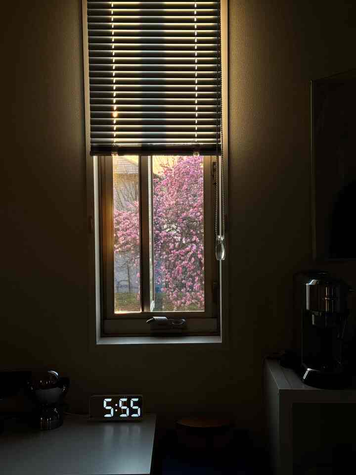 今年も枝垂れ桜が咲き始めた🌸🌸

#賃貸インテリア　#ikeajapan 

