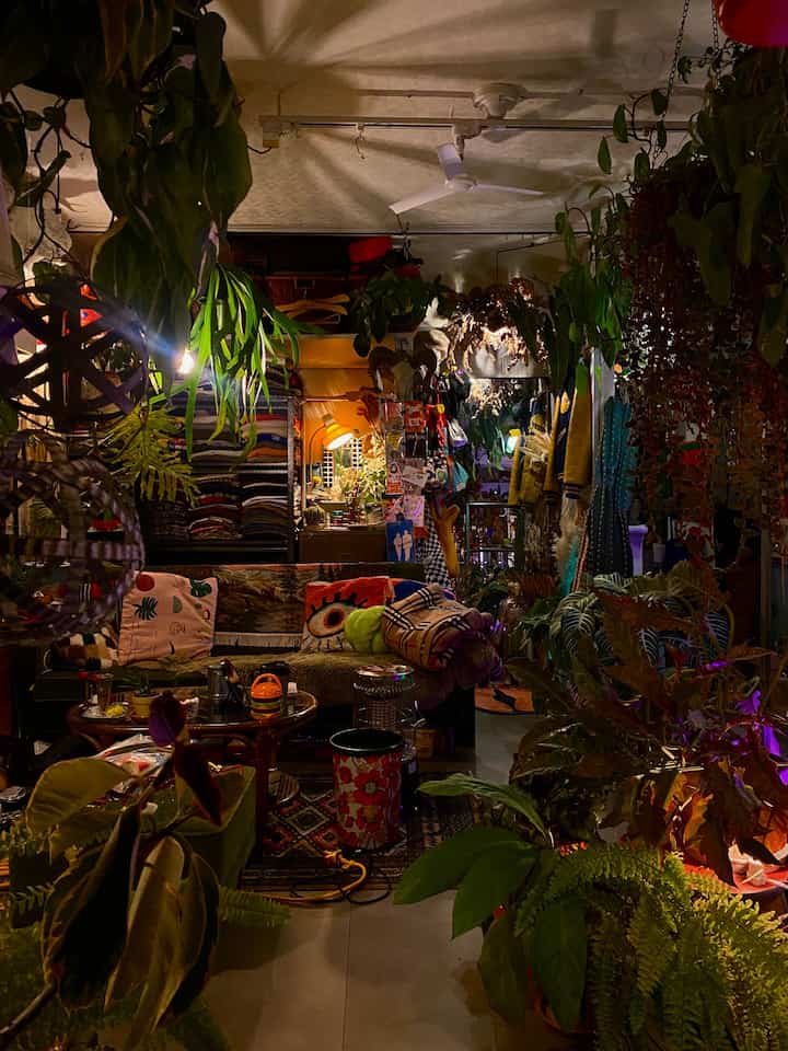 夜景の詰め合わせ◎
寝室のグリーンも少しずつ増やして、二つの空間の共通項を作ろうと画策中です。

おしゃれなランプシェードも良いけど、ビカクシダをランプシェードのように育ててあげるのもおすすめ！
照らし出された葉の影が天井に映って、夜の景色の良いスパイスになってくれます◎
#ミッドセンチュリー #ビンテージ #昭和レトロ
#アメリカンポップ #多国籍インテリア
#グリーンインテリア #観葉植物
#リビングインテリア #寝室 #ベッドルーム #2026Ohouse新生活