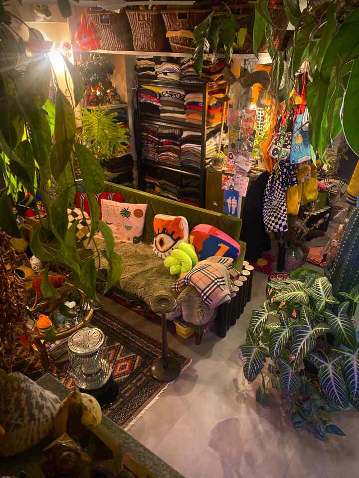 緑の植物とビンテージ家具、多彩なクッションが配置された自然な雰囲気の狭い部屋のインテリア