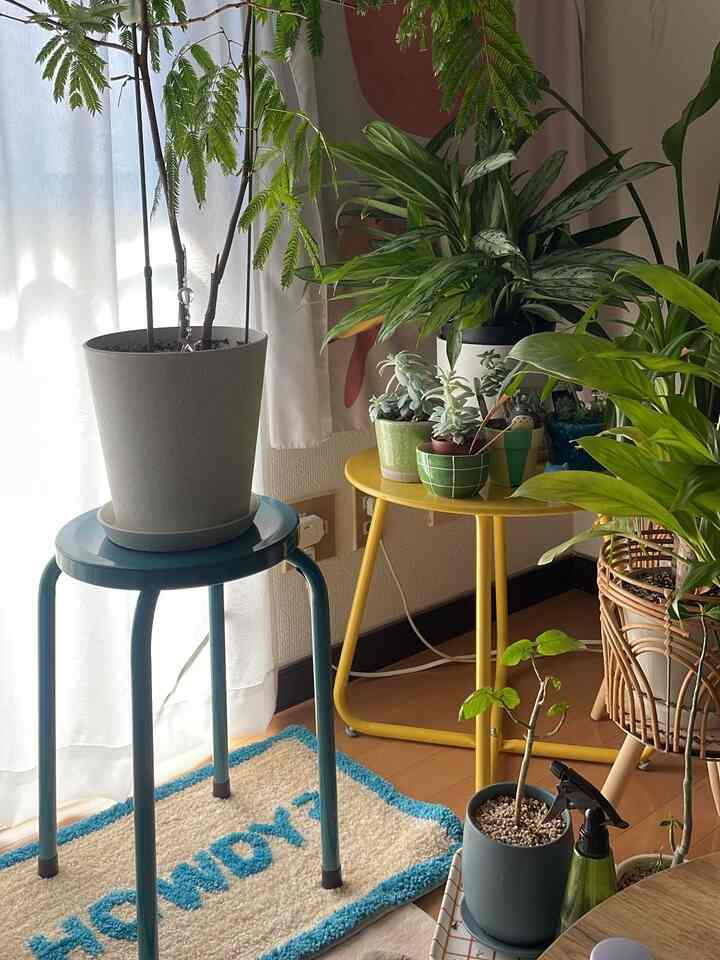 スチールインテリア好きすぎる💙💛











#スチール家具
#interior
#カラフルインテリア
#築古賃貸
#観葉植物