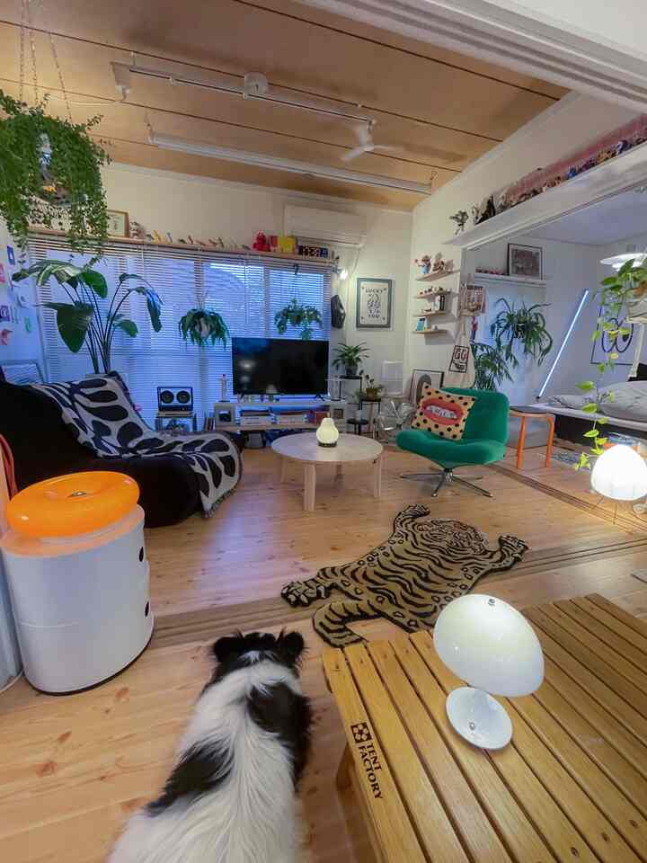 明るい木目の床と家具が配されたナチュラルな雰囲気のリビング、前景に犬がいて植物とソファが配置された印象的な空間