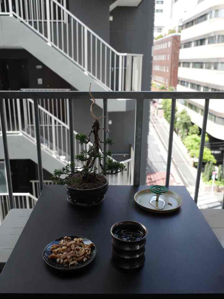 盆栽デビュー🪴

一気に日本感がでます、、、笑

お香も好きですが、蚊取り線香の香りも大好きなんです。

#インテリア #一人暮らし #ルームツアー #1LDK