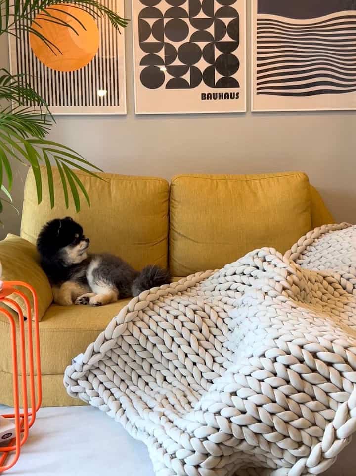 黄色のソファが配置されたリビング、犬とチャンキーなニットのブランケットがある温かみのある空間