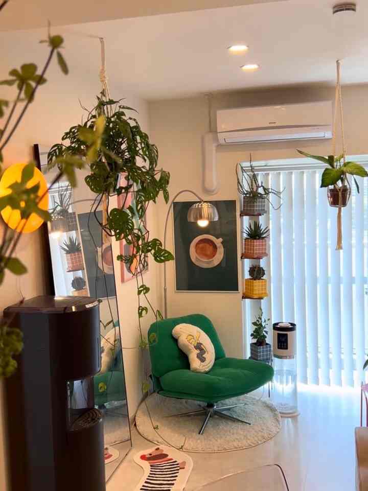 緑のアームチェアと多様な植物が配置された、白い壁のナチュラルなリビングルーム