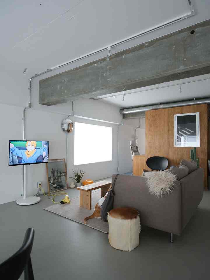 白い壁とナチュラルな木製家具が配置されたモダンな一人暮らしのリビング、ベンチの下に猫がいる