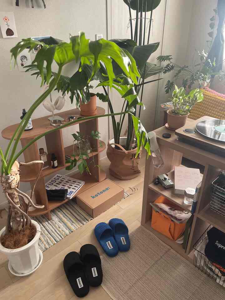 Ohouseで購入したアイテムが
続々と増えてきた🏠
最近2つ目のルームシューズを購入しました😌