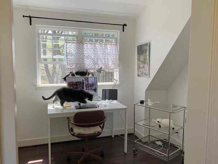 Bright white-toned 5-tatami workspace featuring a white desk, brown office chair, and two cats on the desk