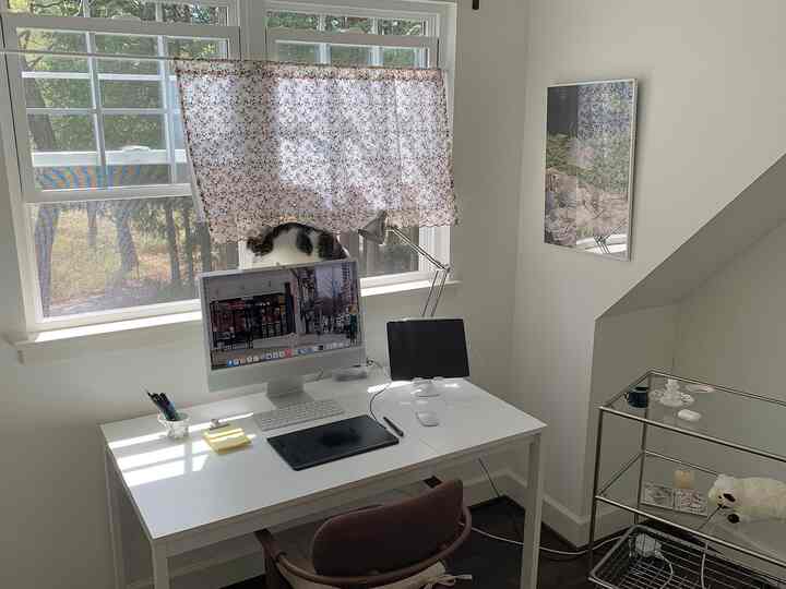 White-toned home office space featuring a desk with computer and tablet, and a cat on the windowsill in a simple modern interior