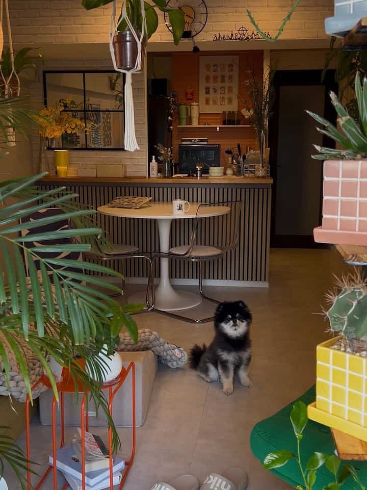 目指してるのは気分が上がる部屋✨
あまり日が入らない部屋なので、カラーアイテムをたくさん置いて気分だけでも明るくしています🟡🟢
イエローとグリーンをメインにしていますが、部屋の色は3色までという既成概念にとらわれすぎず、全体の雰囲気とマッチするか？子供っぽくなりすぎないか？を意識してインテリアを選んでいます🙋🙋‍♀️
#カラフル #ポップ  #カラーアイテム #大人 #カフェ #韓国 #海外 #ミッドセンチュリー