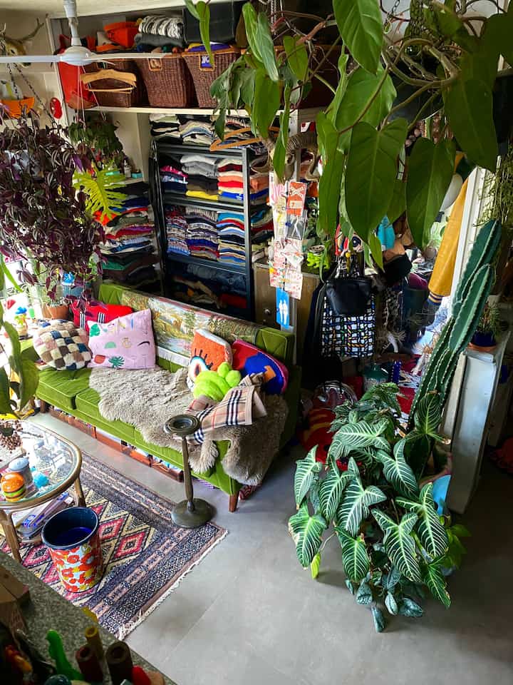 Cozy living room filled with lush green plants and a vintage style green sofa