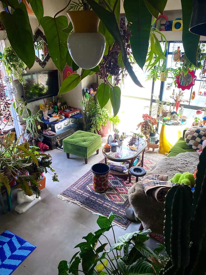 緑色を基調としたリビング、豊富な植物とビンテージの装飾が配された雰囲気のある空間