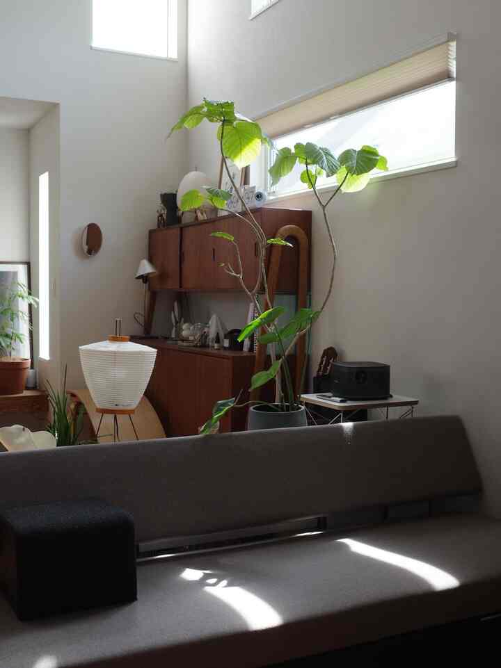 春がきたと思ったら
もう夏の入り口

秋〜春は日差しがたっぷり降り注ぐ高窓
夏は暑い直射日光は入らない
作って良かった

半年以上、ディスプレイを変えてない暮らしは
いいかげんにしたい

#サイドボード　#カップボード　#スリーシーター