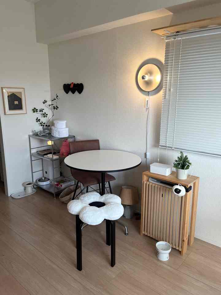 ずっと欲しかった無印のステンレス棚に替えました

#椅子　#スツール　#ファブリック　#クッション
#猫のいる暮らし　#1LDK