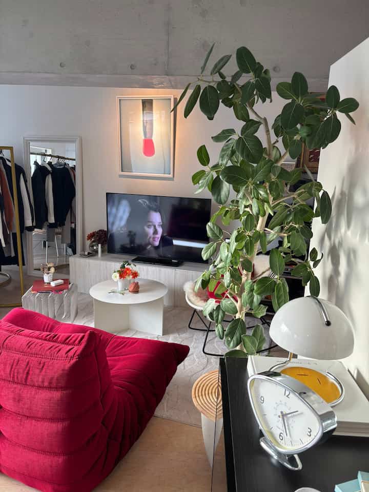 シンボルツリーのお迎え、お部屋づくりの鍵になるかも🔑

お家に大きい植物があると、お部屋のバランスが取れる気がします🌿


#植物　#インテリア　#観葉植物
