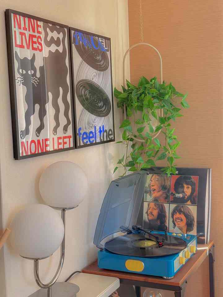 Natural toned wall featuring a vintage record player, framed posters, and hanging plant creating a cozy space