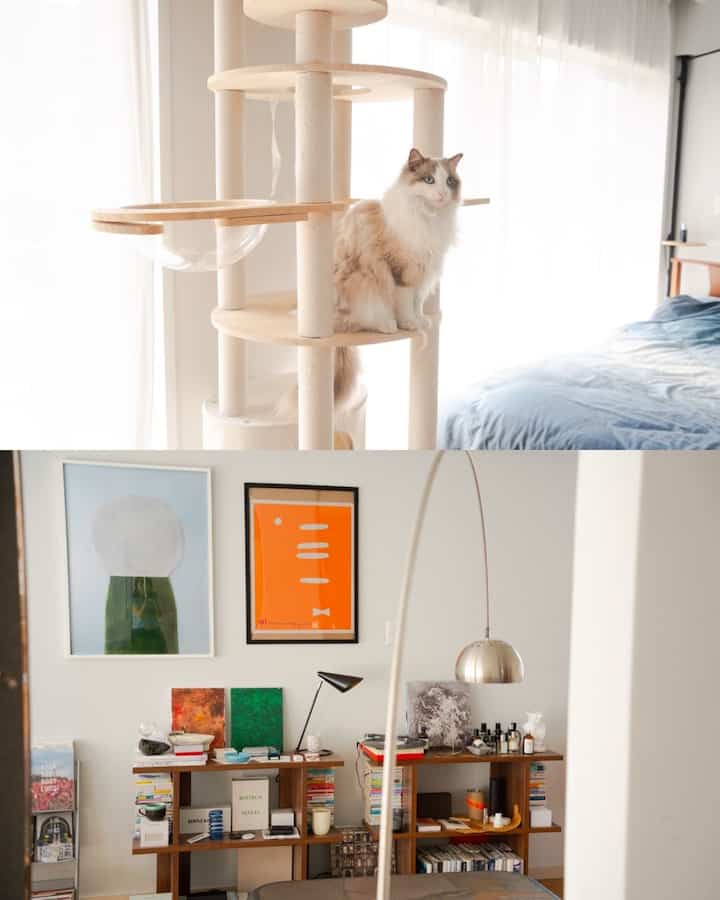 White and beige toned bedroom featuring a cat on a cat tower, modern bookshelf with art frames creating a warm atmosphere