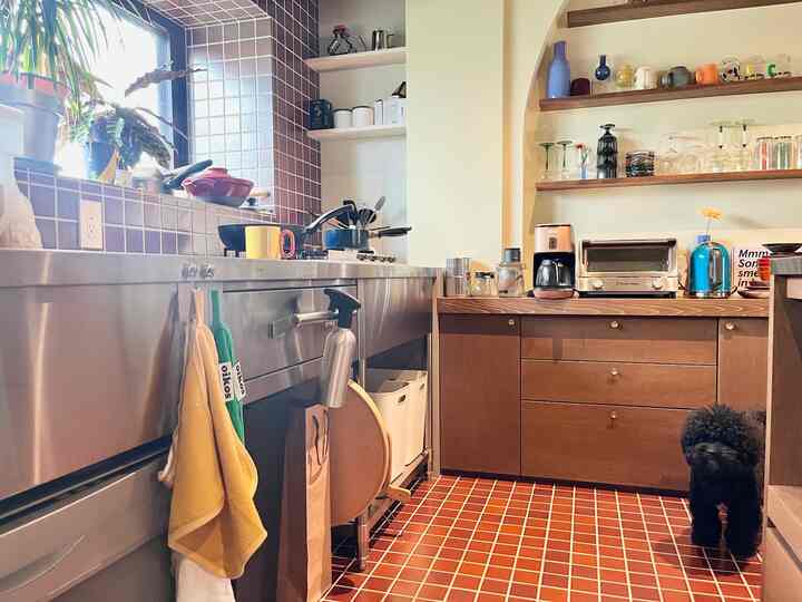 Tagged posts featuring Dual-Sided Terry Kitchen Towel 2