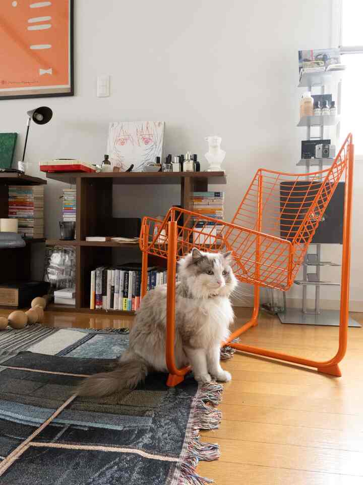 今日の我が家🏡
#ペット #ワンルーム #チェア #インテリア